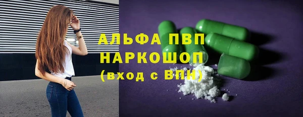 твердый Магас