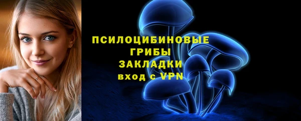 твердый Магас