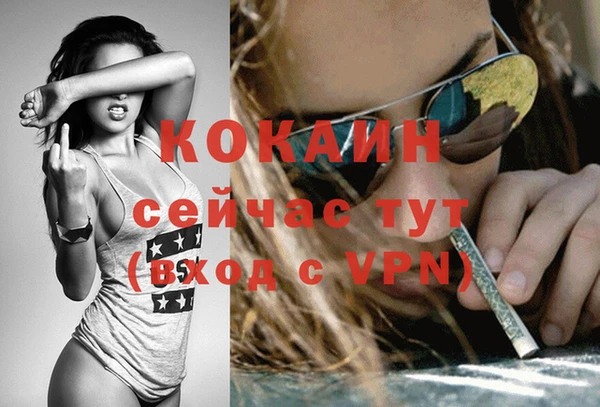 твердый Магас