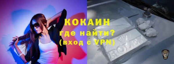 твердый Магас