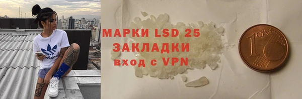 твердый Магас