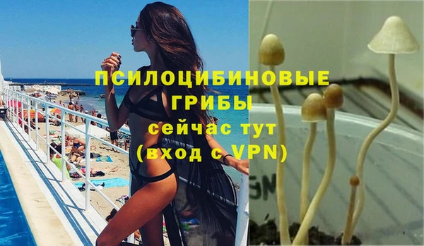твердый Магас