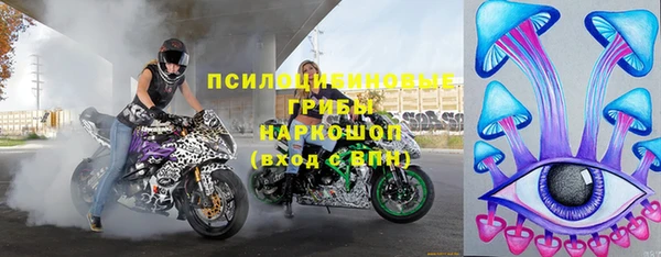 твердый Магас