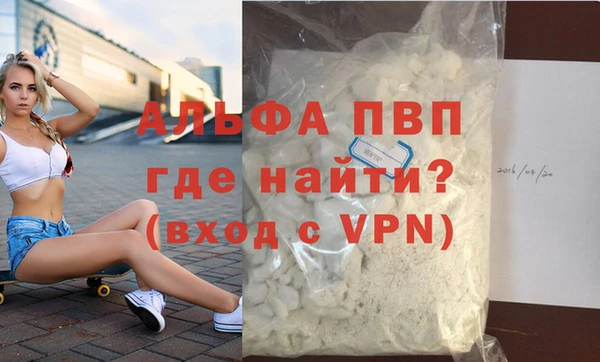 твердый Магас
