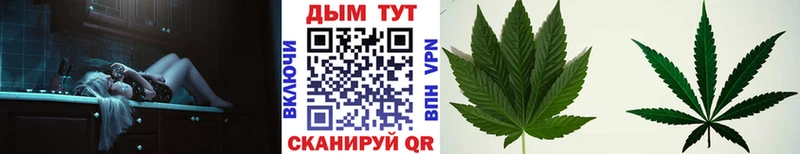 гидра зеркало  где найти   Никольск  Шишки марихуана сатива 